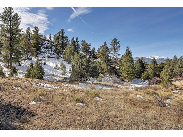 31950 Forest Service Road 376, Buena Vista, CO 81211