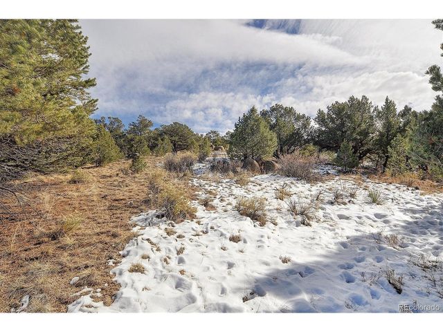 31950 Forest Service Road 376, Buena Vista, CO 81211