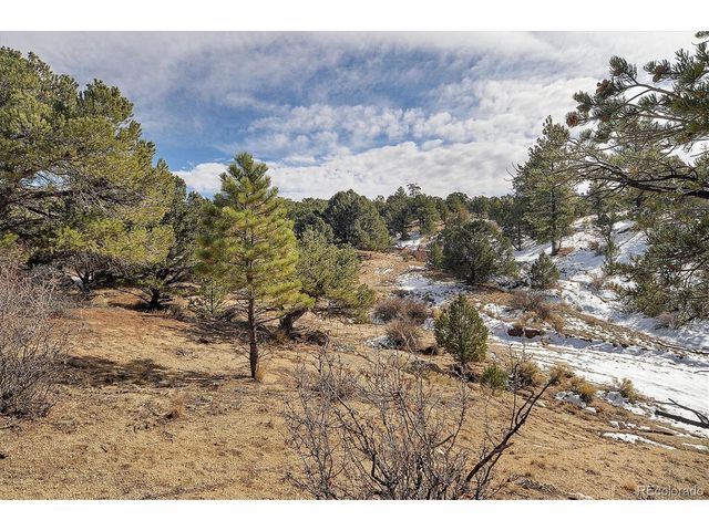 31950 Forest Service Road 376, Buena Vista, CO 81211
