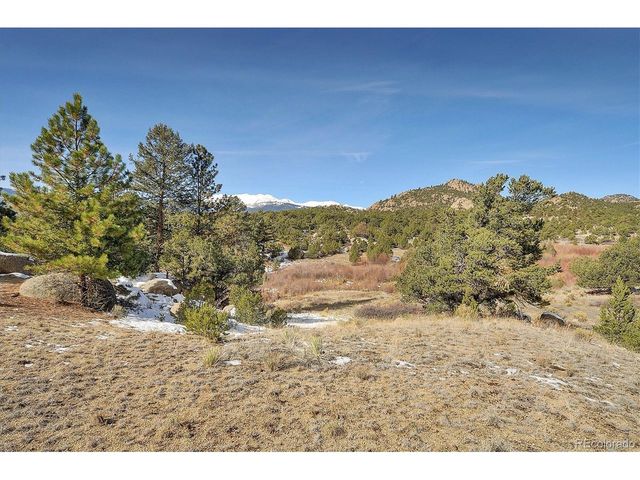 31950 Forest Service Road 376, Buena Vista, CO 81211