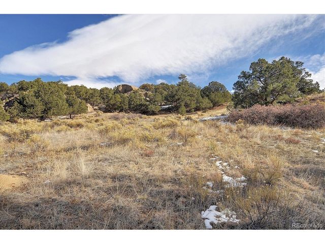 31950 Forest Service Road 376, Buena Vista, CO 81211