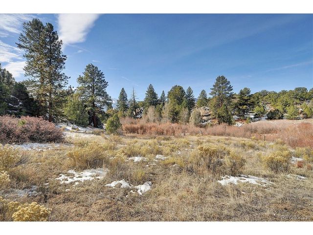 31950 Forest Service Road 376, Buena Vista, CO 81211