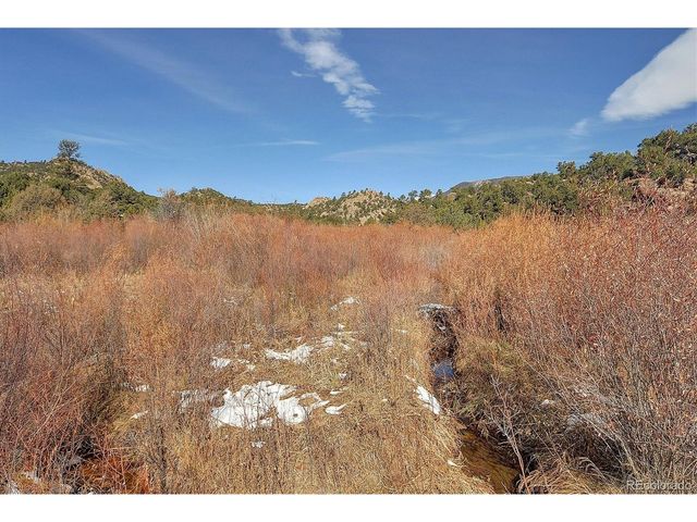 31950 Forest Service Road 376, Buena Vista, CO 81211