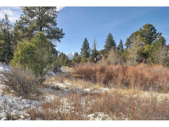 31950 Forest Service Road 376, Buena Vista, CO 81211