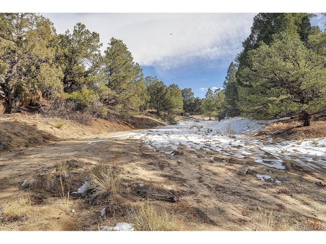 31950 Forest Service Road 376, Buena Vista, CO 81211