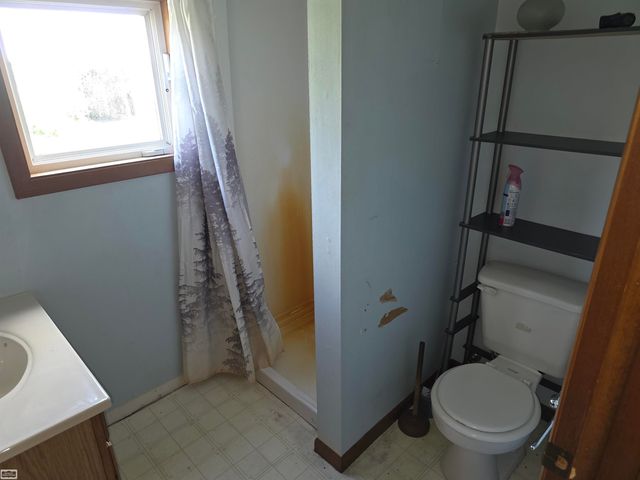 7550 Ora Lake Road, Hale, MI 48739