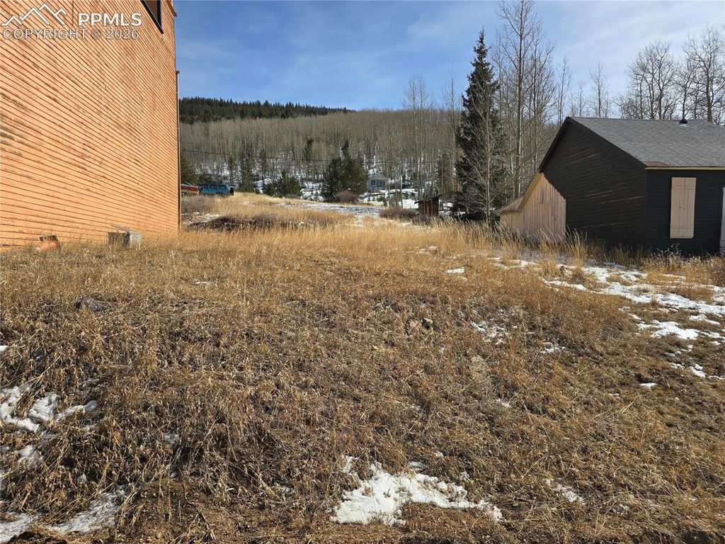 906 Victor Avenue, Goldfield, CO 80860 — photo 5