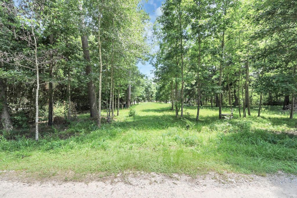 00 Golden Lane, Houston, TX 77336