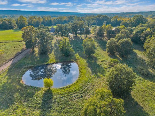 65 Wallace Bridge Road, Perryville, AR 72126