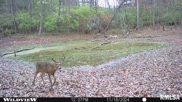 6603-6605 GARDNER, Quincy, IL 62305