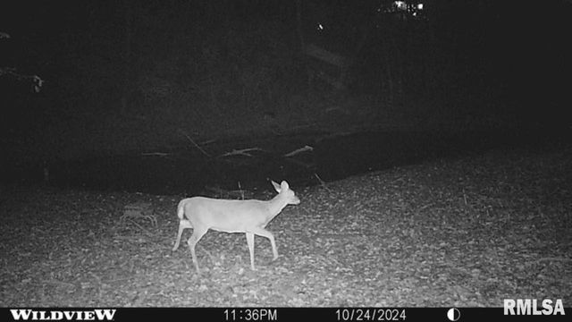 6603-6605 GARDNER, Quincy, IL 62305