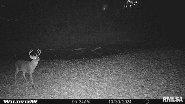 6603-6605 GARDNER, Quincy, IL 62305