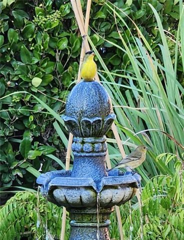 1534 Sunny Crest Drive, Fullerton, CA 92835