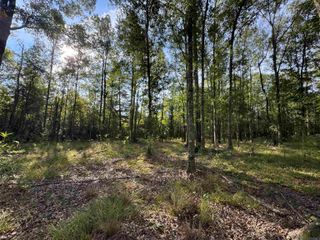 SF-13&14 La Hwy 16, Denham Springs, LA 70706