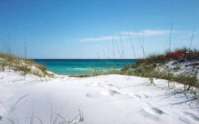 10355 PARADISE BOULEVARD 608, Treasure Island, FL 33706