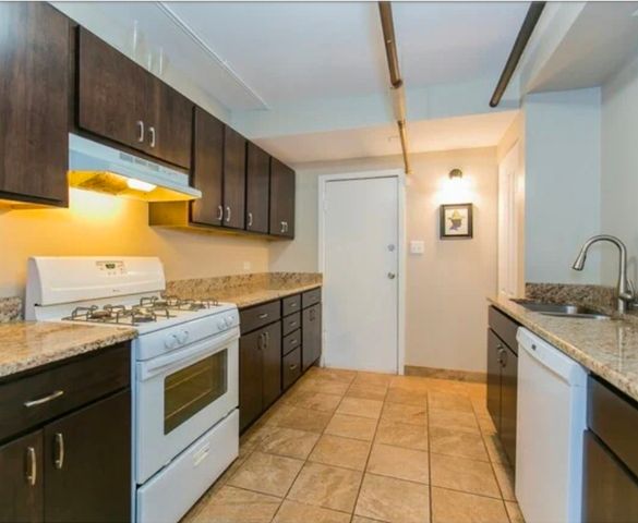 419 E 46th Street, Chicago, IL 60653