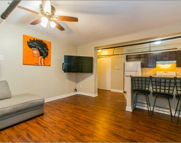 419 E 46th Street, Chicago, IL 60653