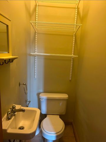 419 E 46th Street, Chicago, IL 60653