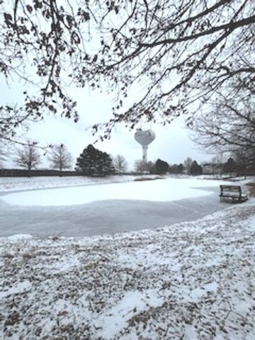 43 Augusta Drive, Streamwood, IL 60107