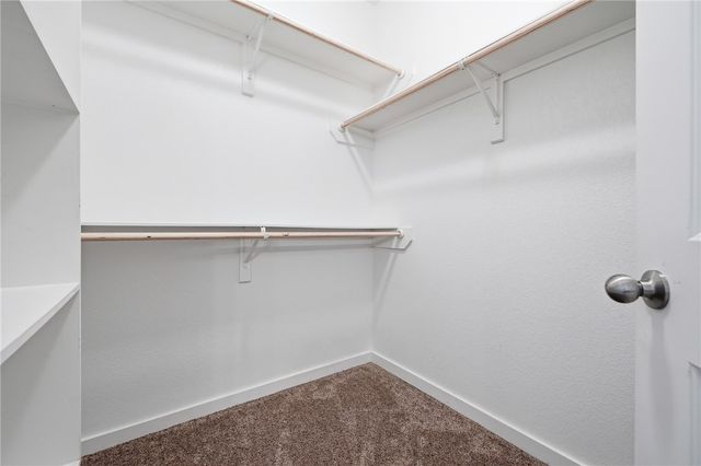 9530 Sedalia Trl, Corpus Christi, TX 78410