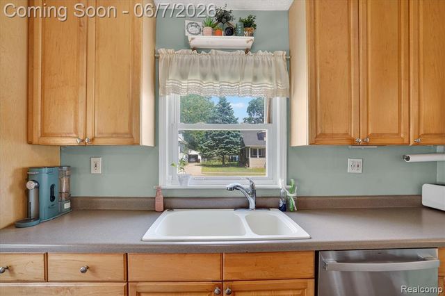 239 E Chestnut Street, Webberville, MI 48892