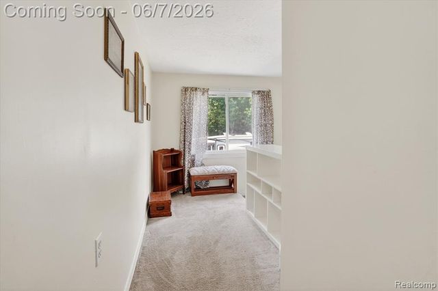 239 E Chestnut Street, Webberville, MI 48892