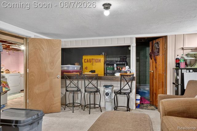 239 E Chestnut Street, Webberville, MI 48892