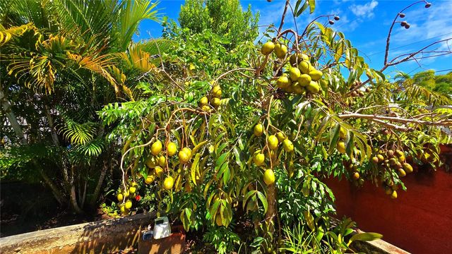 FELICIDAD URB. ALTURAS DE CERRO GORDO I Y II 2-D, Vega Alta, PR 00692