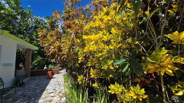 FELICIDAD URB. ALTURAS DE CERRO GORDO I Y II 2-D, Vega Alta, PR 00692