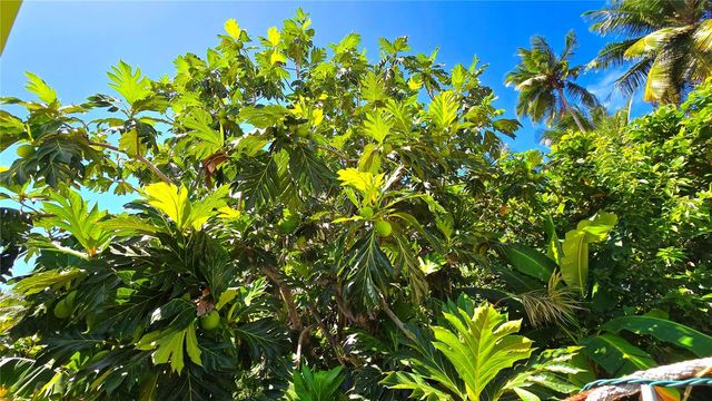 FELICIDAD URB. ALTURAS DE CERRO GORDO I Y II 2-D, Vega Alta, PR 00692