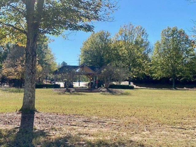 322 Oak Leaf Place, Acworth, GA 30102