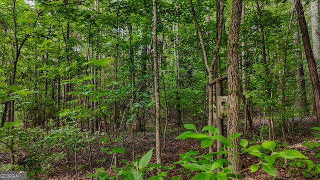 110 Handy Road, Newnan, GA 30263