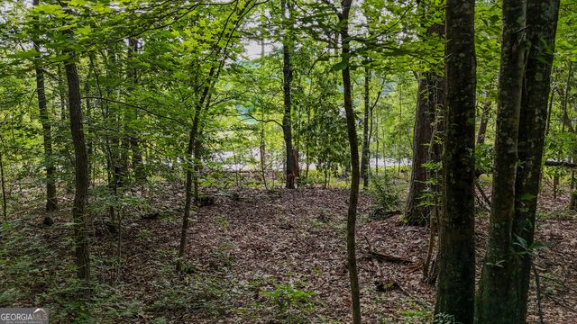 110 Handy Road, Newnan, GA 30263