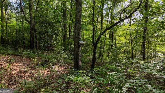 110 Handy Road, Newnan, GA 30263