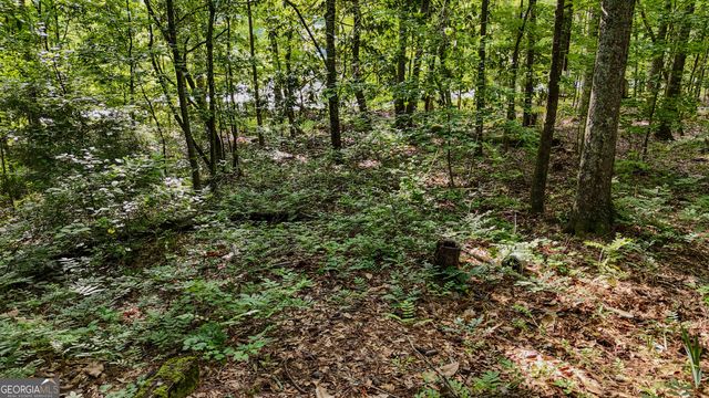110 Handy Road, Newnan, GA 30263