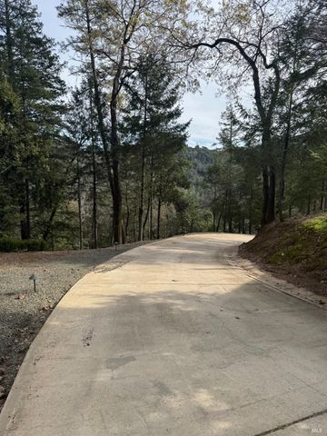 14986 Western Mine Rd, Middletown, CA 95461