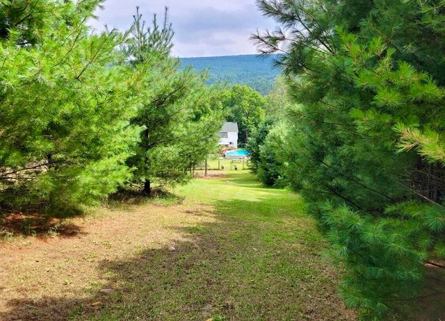 1080 Peasleeville Road, Schuyler Falls, NY 12985