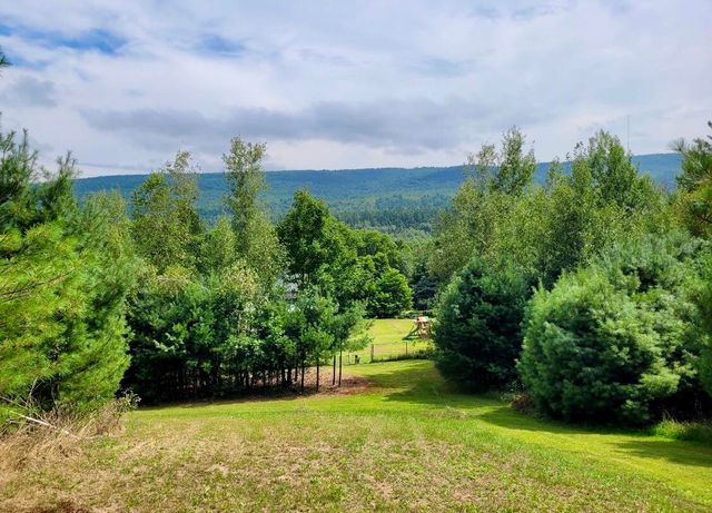 1080 Peasleeville Road, Schuyler Falls, NY 12985