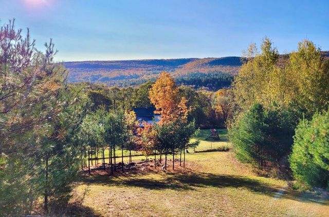 1080 Peasleeville Road, Schuyler Falls, NY 12985