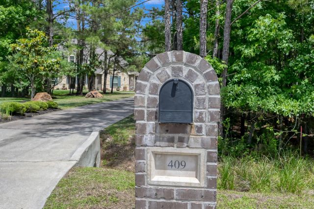 409 Ridgelake Scenic Drive, Montgomery, TX 77316