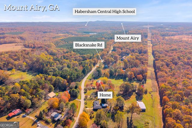 2207 Blacksnake Road, Mount Airy, GA 30563