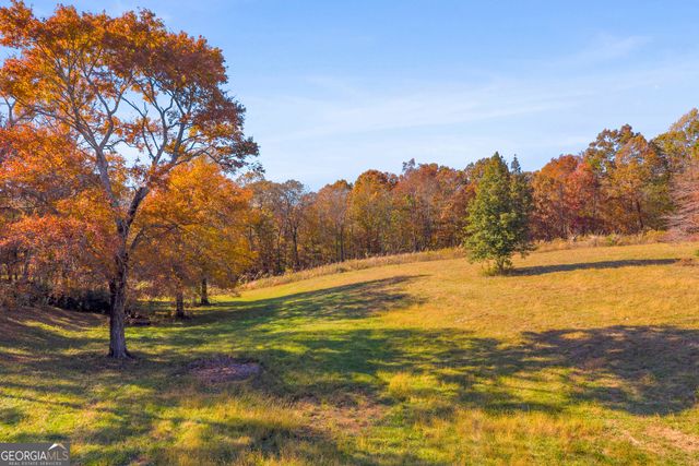 2207 Blacksnake Road, Mount Airy, GA 30563