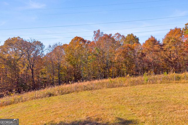 2207 Blacksnake Road, Mount Airy, GA 30563