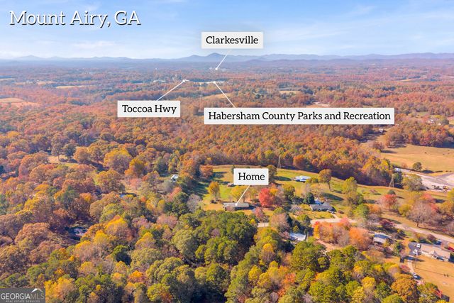 2207 Blacksnake Road, Mount Airy, GA 30563