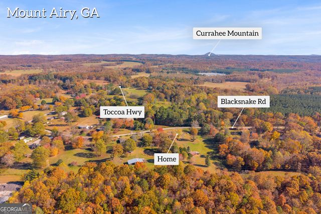 2207 Blacksnake Road, Mount Airy, GA 30563