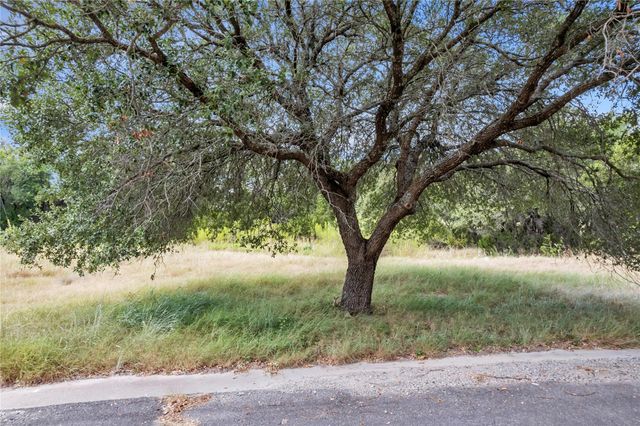 Lot 105 & 110 County Rd 100, Burnet, TX 78611