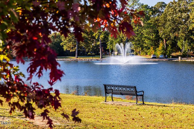 290 Blue Butterfly Drive, Angier, NC 27501