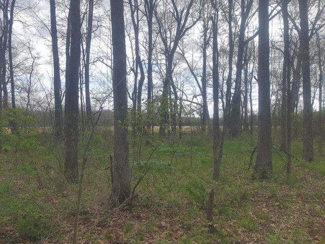 Prairie View Drive, Harrison, AR 72601