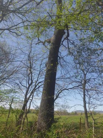 Prairie View Drive, Harrison, AR 72601