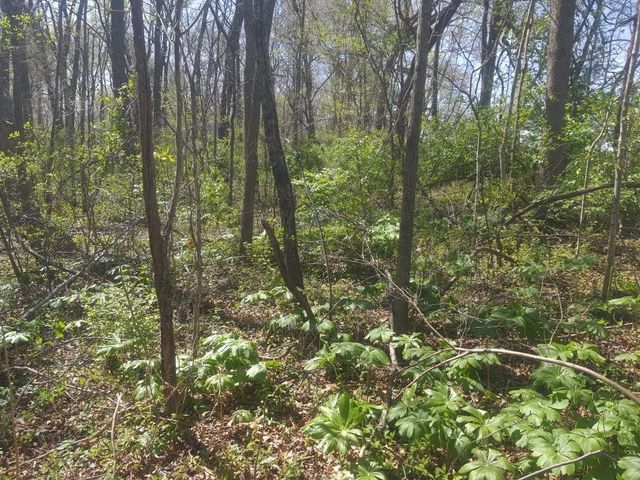 Prairie View Drive, Harrison, AR 72601